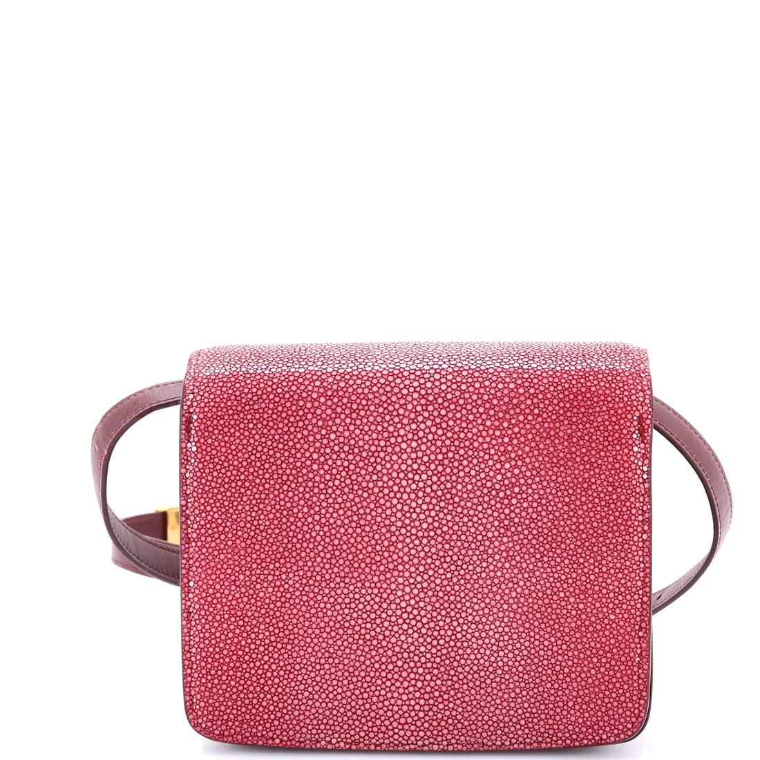 Celine Classic Box Bag Stingray Small - 3