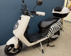 Zebra Electric Scooter 2 of 3 (3 Available) (1 of 2)
