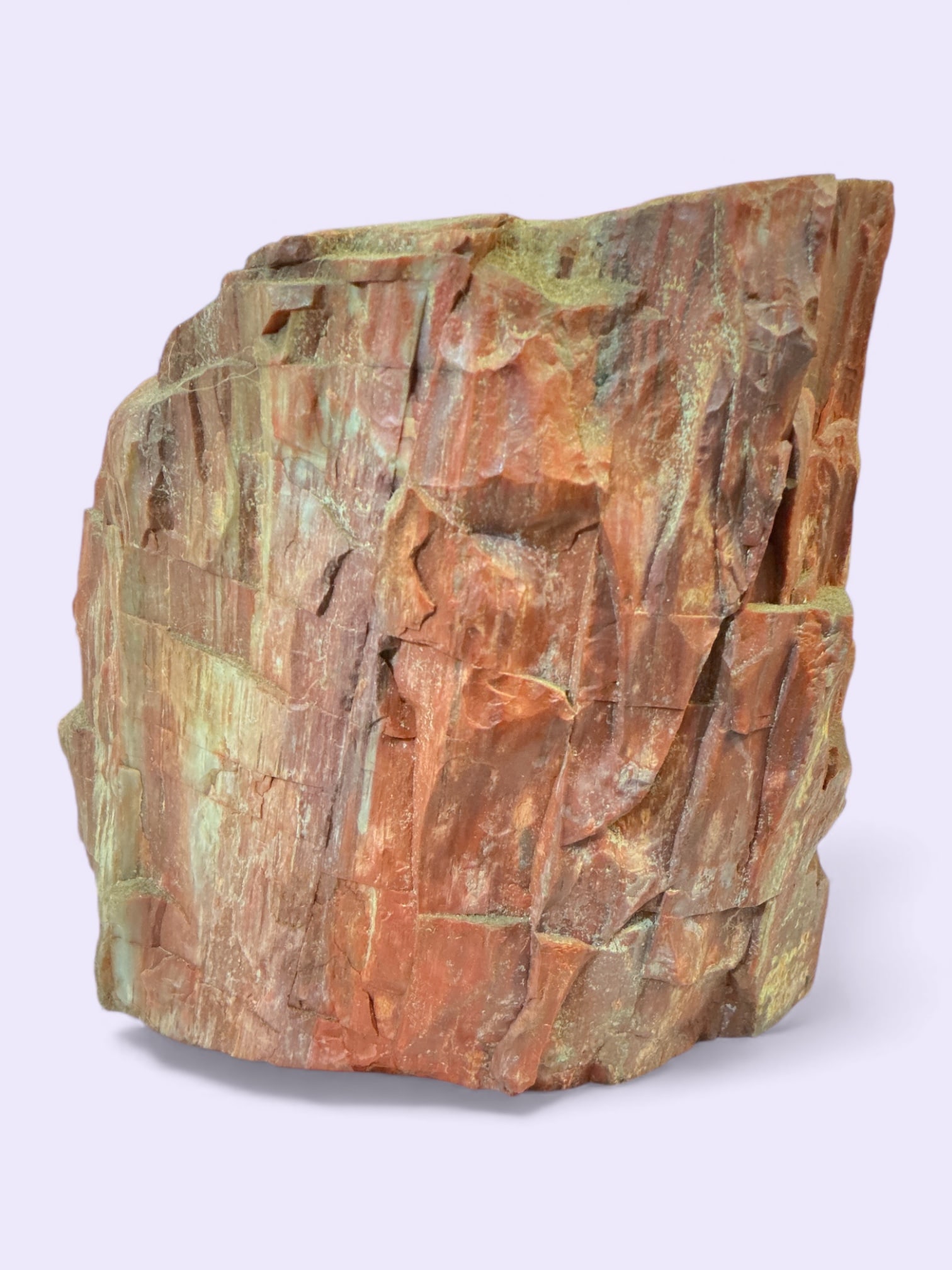 Block of Petrified Wood: Block of Petrified Wood. 4” x 5” x 5 1/2” 5lb 10 oz