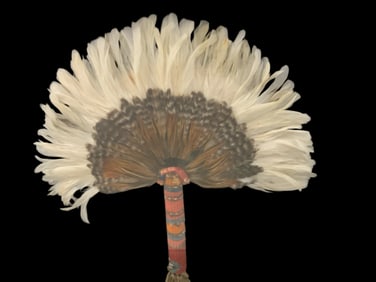 Ceremonial or Prayer Feather Fan in Shadow Box under Glass