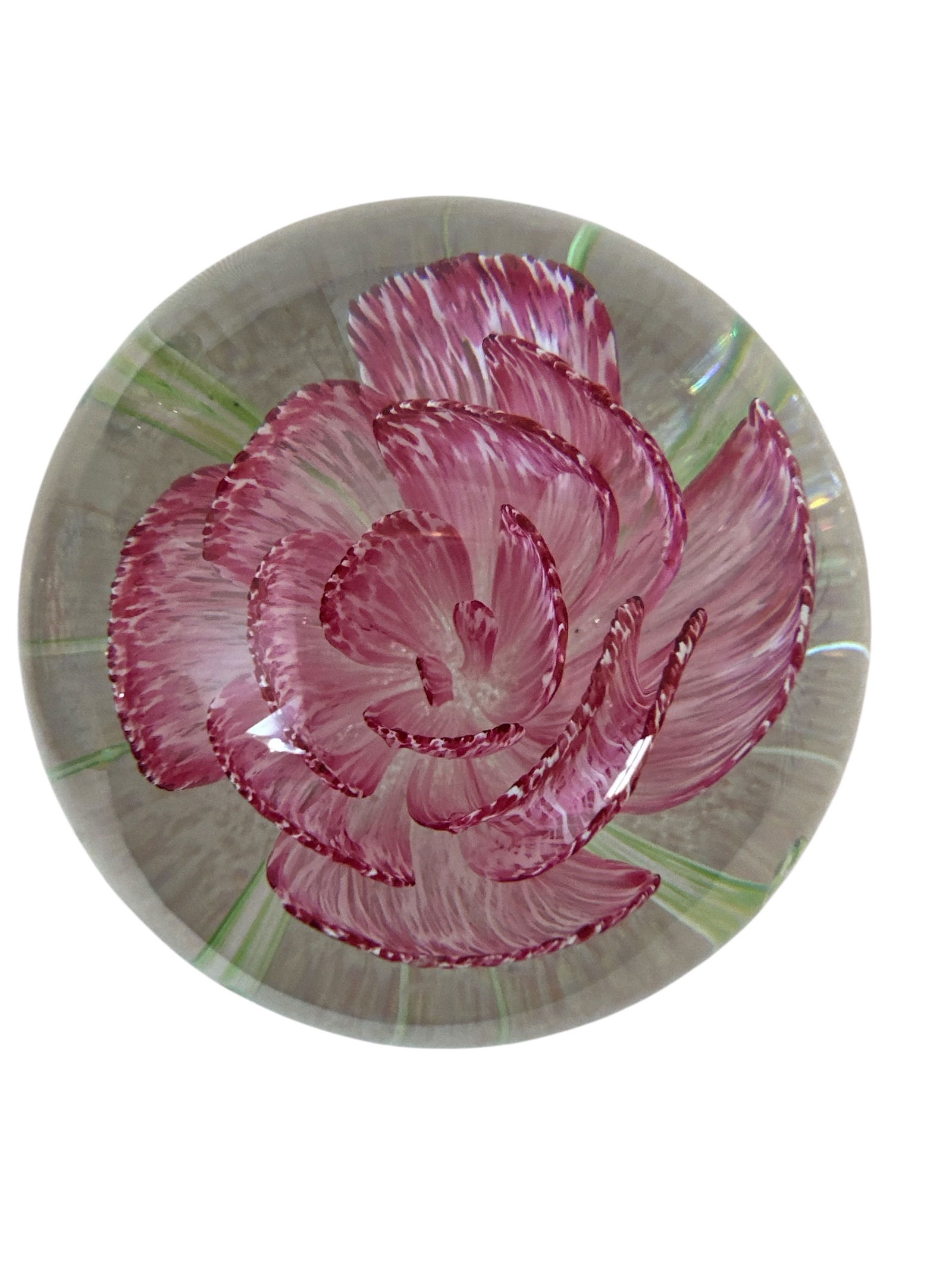 Round Caithness of Scotland Glass Paperweight Features a Pink Flower - 3