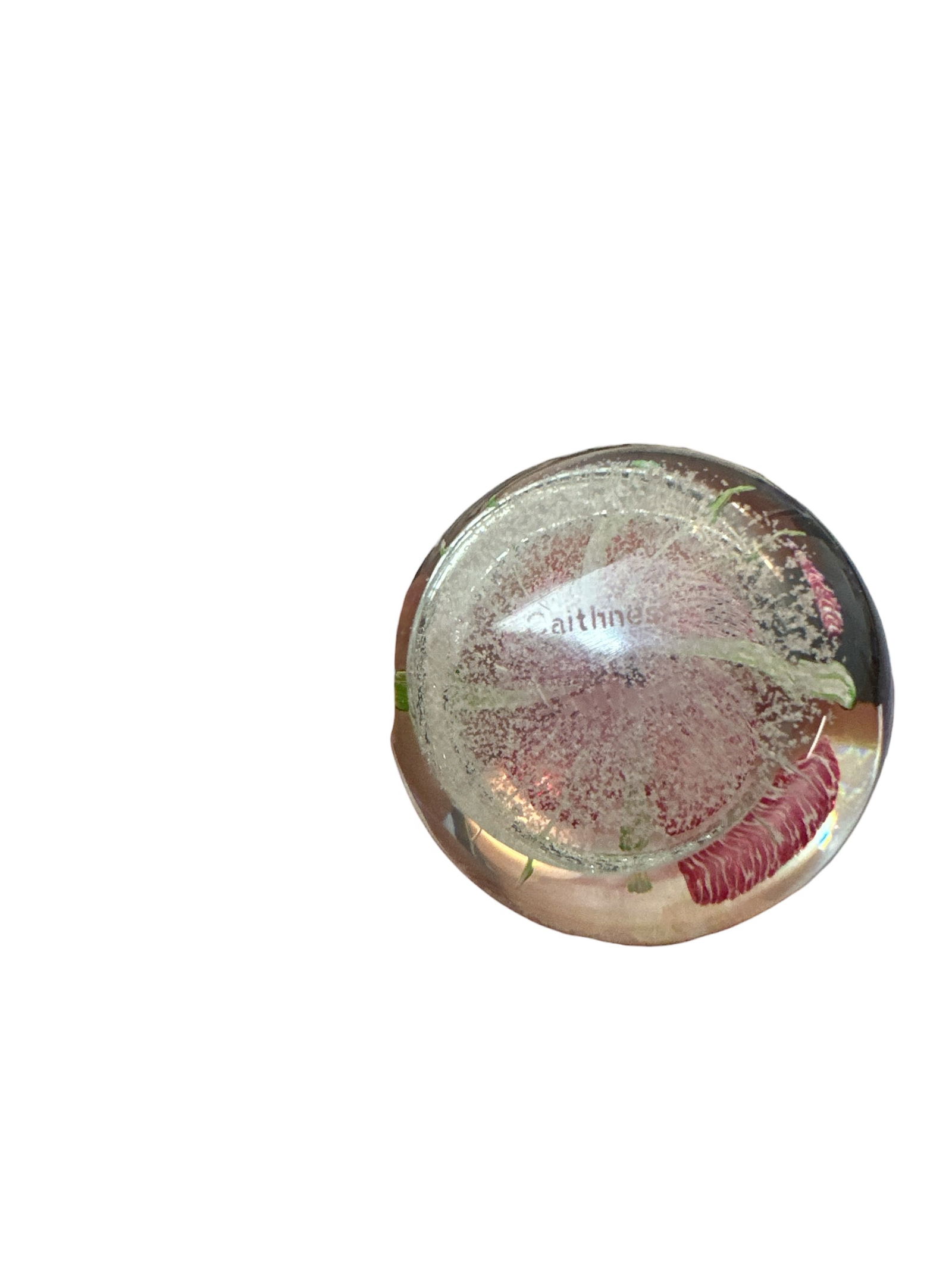 Round Caithness of Scotland Glass Paperweight Features a Pink Flower - 4