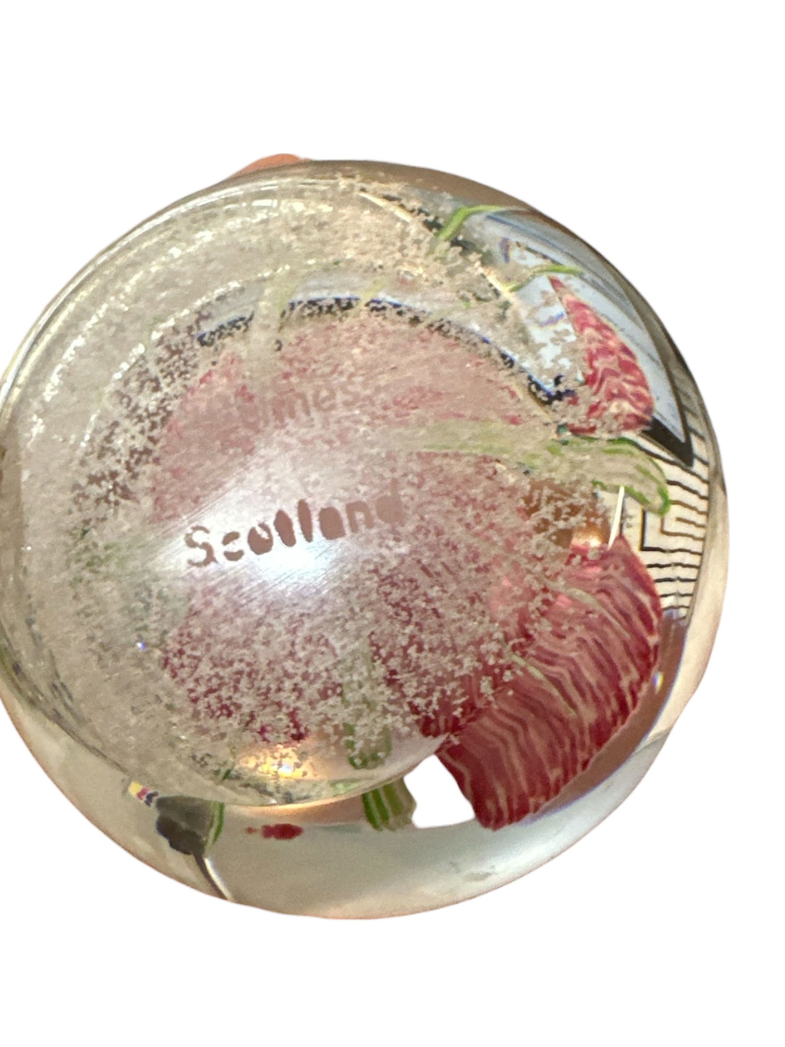 Round Caithness of Scotland Glass Paperweight Features a Pink Flower - 5
