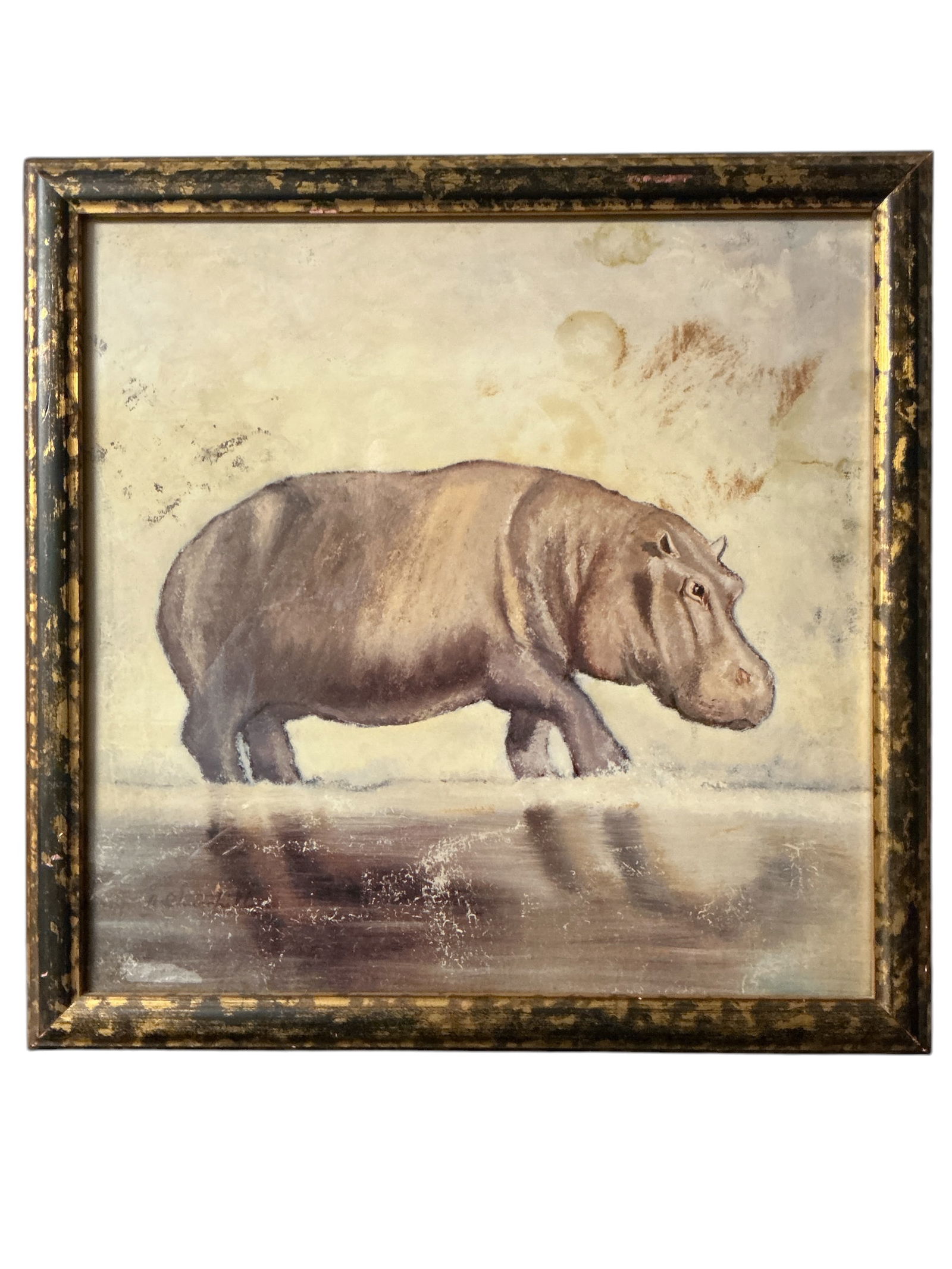 Framed art under glass Hippopotamus (1 of 4)