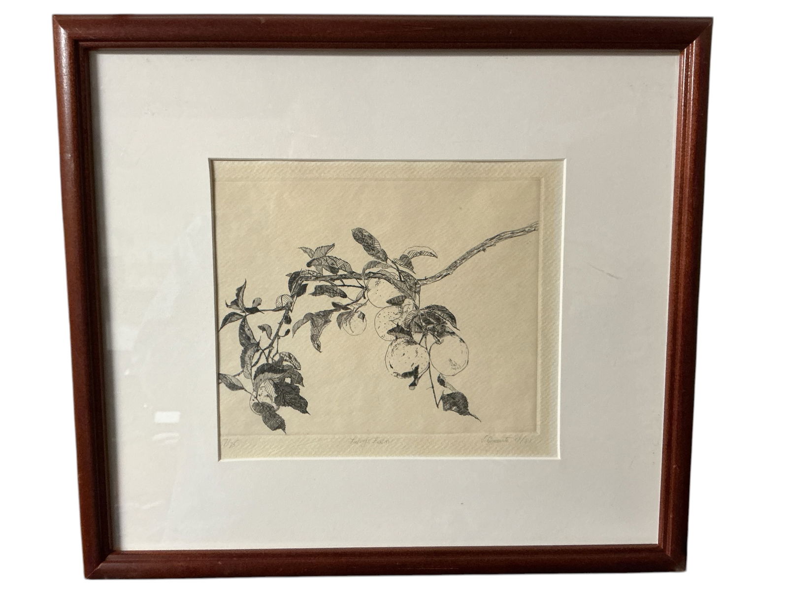 Esposito Print LARRY'S FARM Apple Branch Drawing (1 of 5)