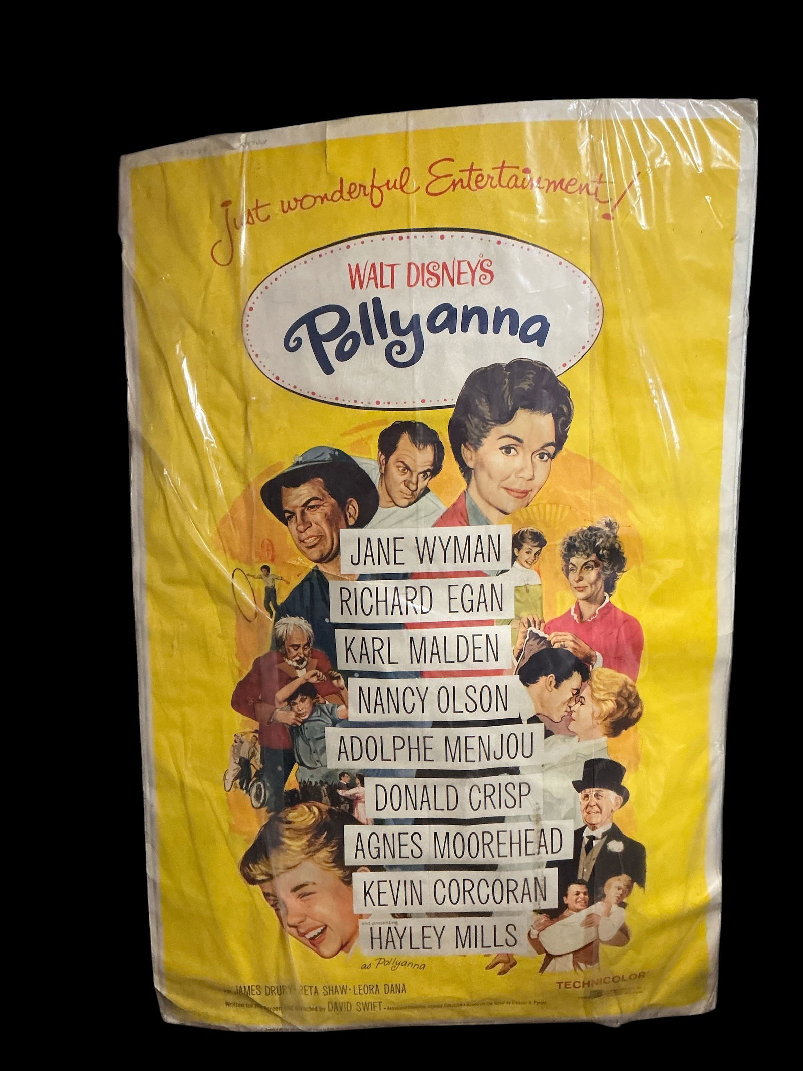 Walt Disney's POLLYANNA Movie Poster 40" x 60" (1 of 3)