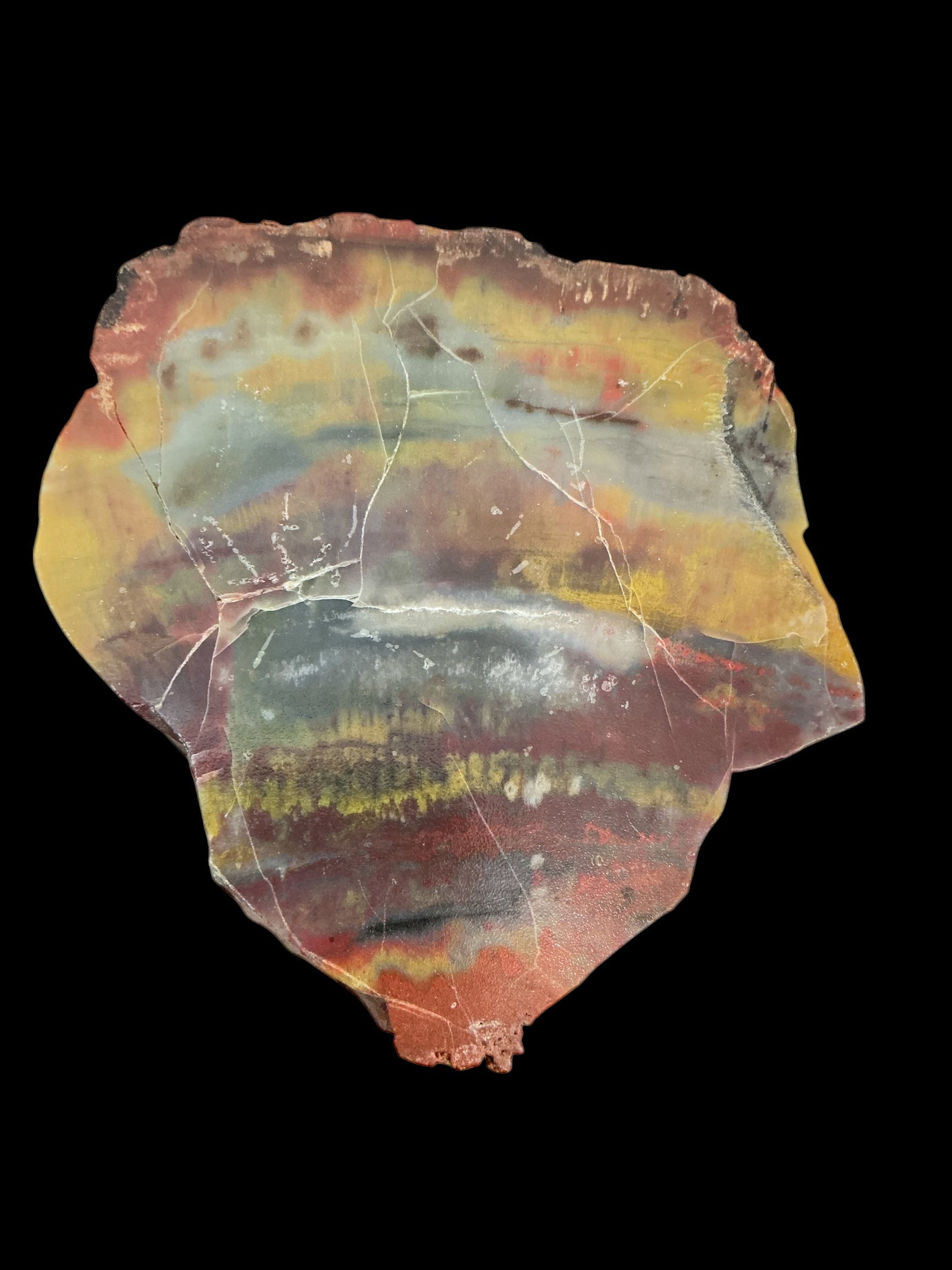 Slice Arizona Rainbow Petrified Wood Paperweight (1 of 3)