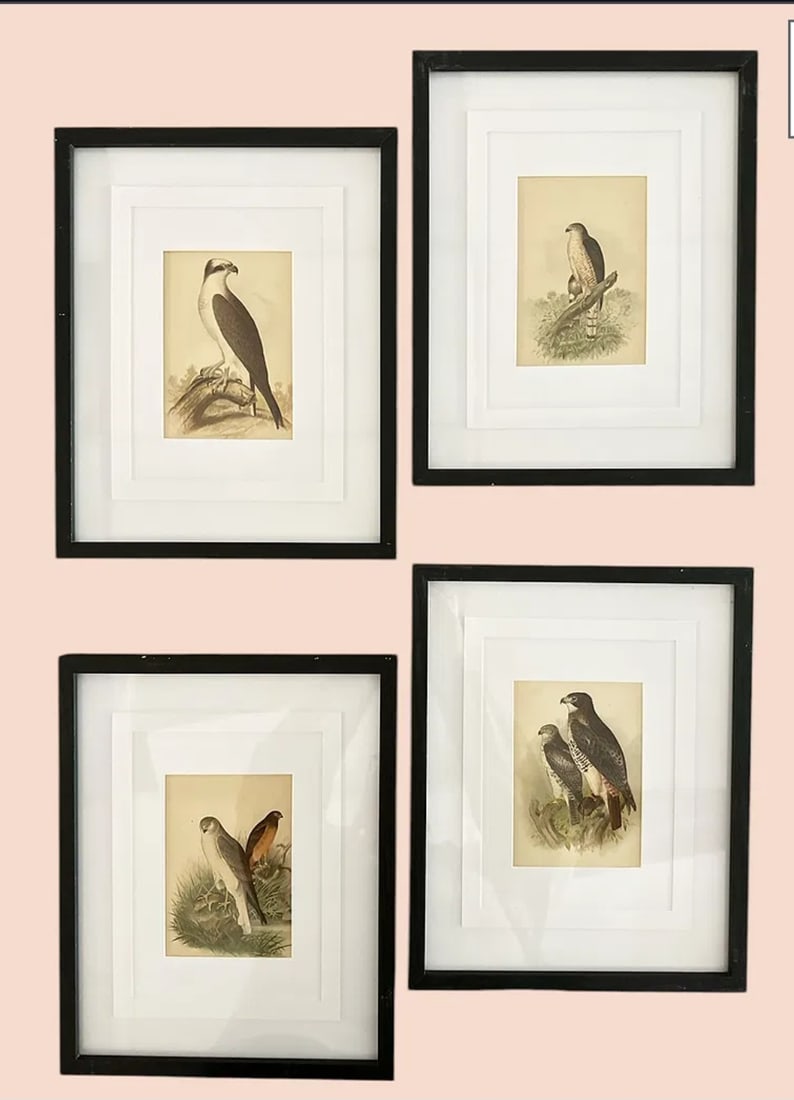 Collection of (4) Hawks framed prints (1 of 7)