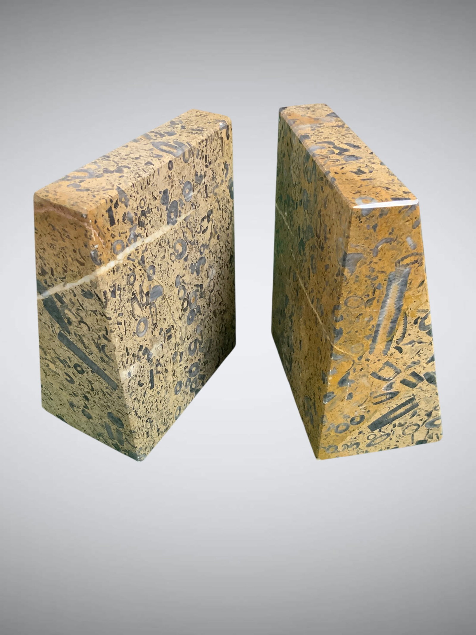 Pair Tan Fossil Stone Marble Bookends (1 of 4)