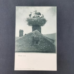 An old postcard with the theme of the stork's nest in Heidelberg, Germany