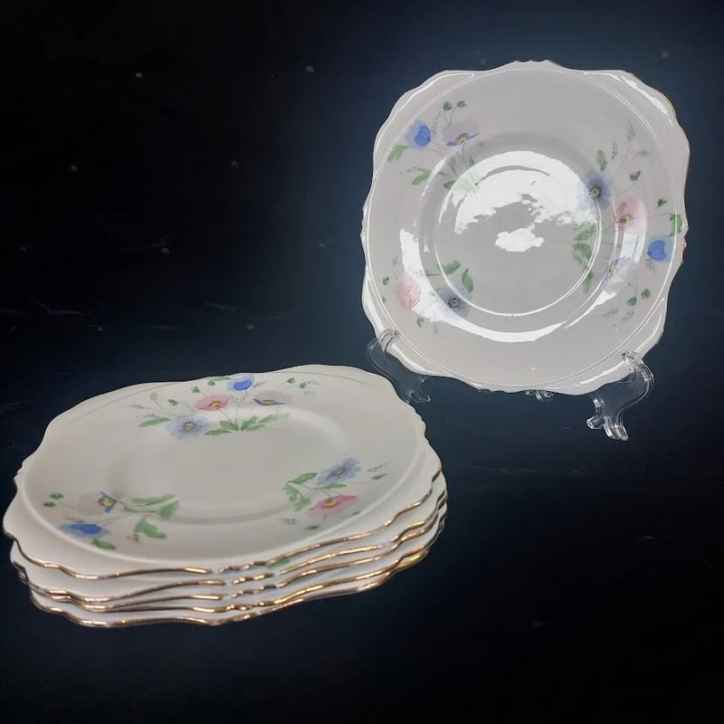 Set of 6 Royal Grafton Hand Painted Side Plates: Size:/. Condition: Good used condition. Provenance: From Philadelphia PA estate. In house shipping is available for this item. All the items AS IS, please join the auction preview for the condition De