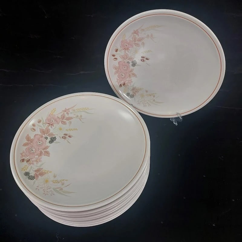 Set of 6 Boots Hedge Rose Dinner Plates: Size:/. Condition: Good used condition. Provenance: From Philadelphia PA estate. In house shipping is available for this item. All the items AS IS, please join the auction preview for the condition De