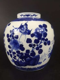 Chinese Blue And White Porcelain Jar
