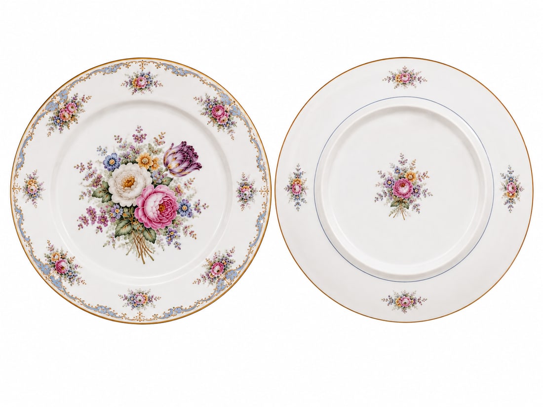 VINTAGE PAINTED Flowers PORCELAIN PLATE 162#: Dimension: inch, please note Due to manual measurement, dimensions may vary. , please note buyers are obligated to come to the site to inspect the condition and details of the item. condition report, 