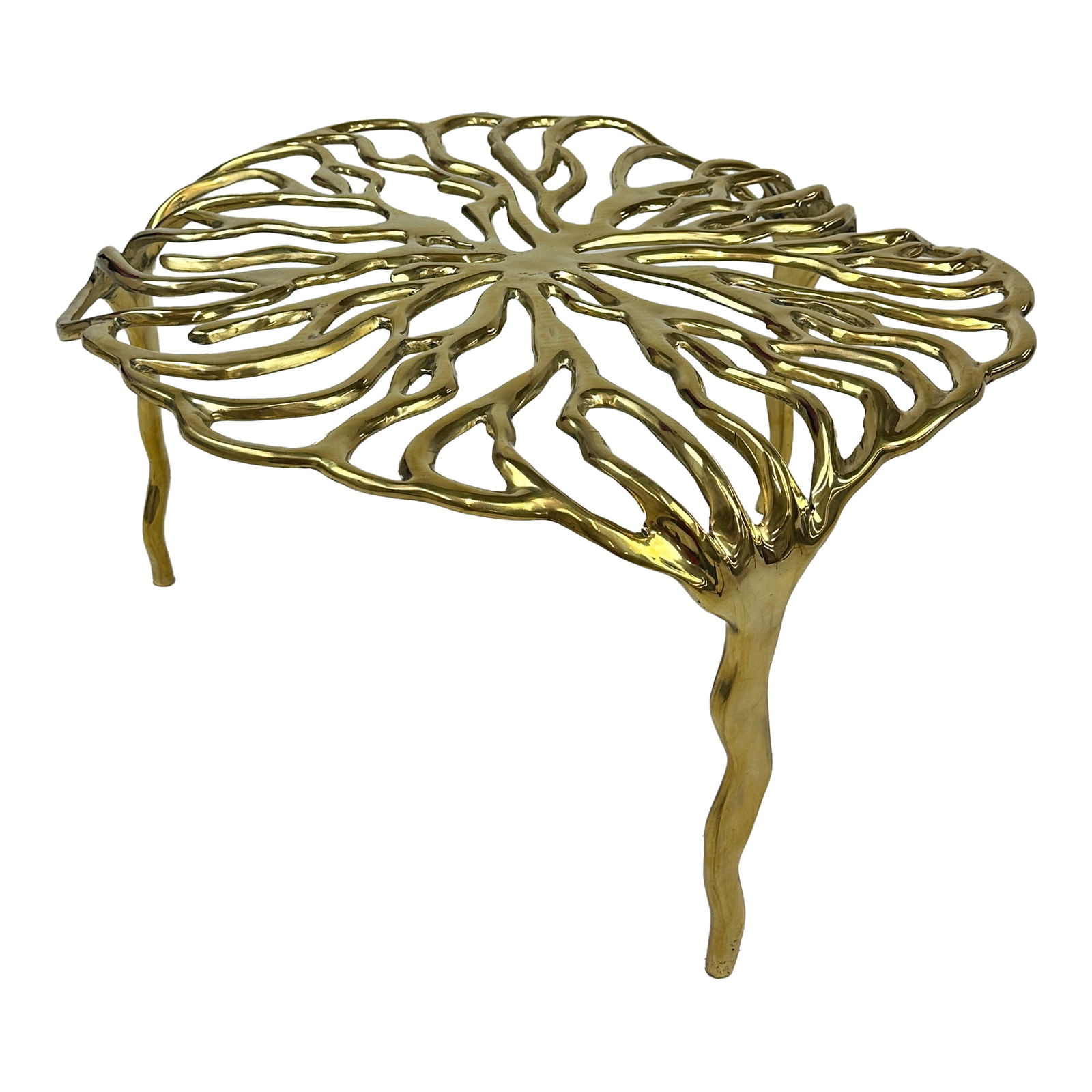 Anaya Brass Coffee Table - 2