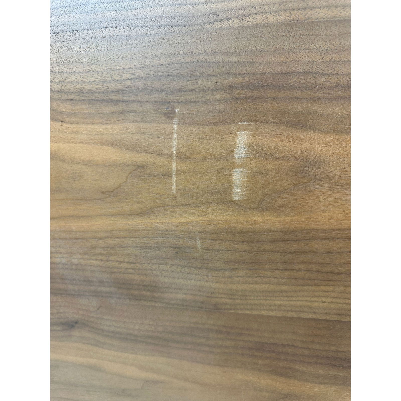 Forest Tree Cabinet - 2