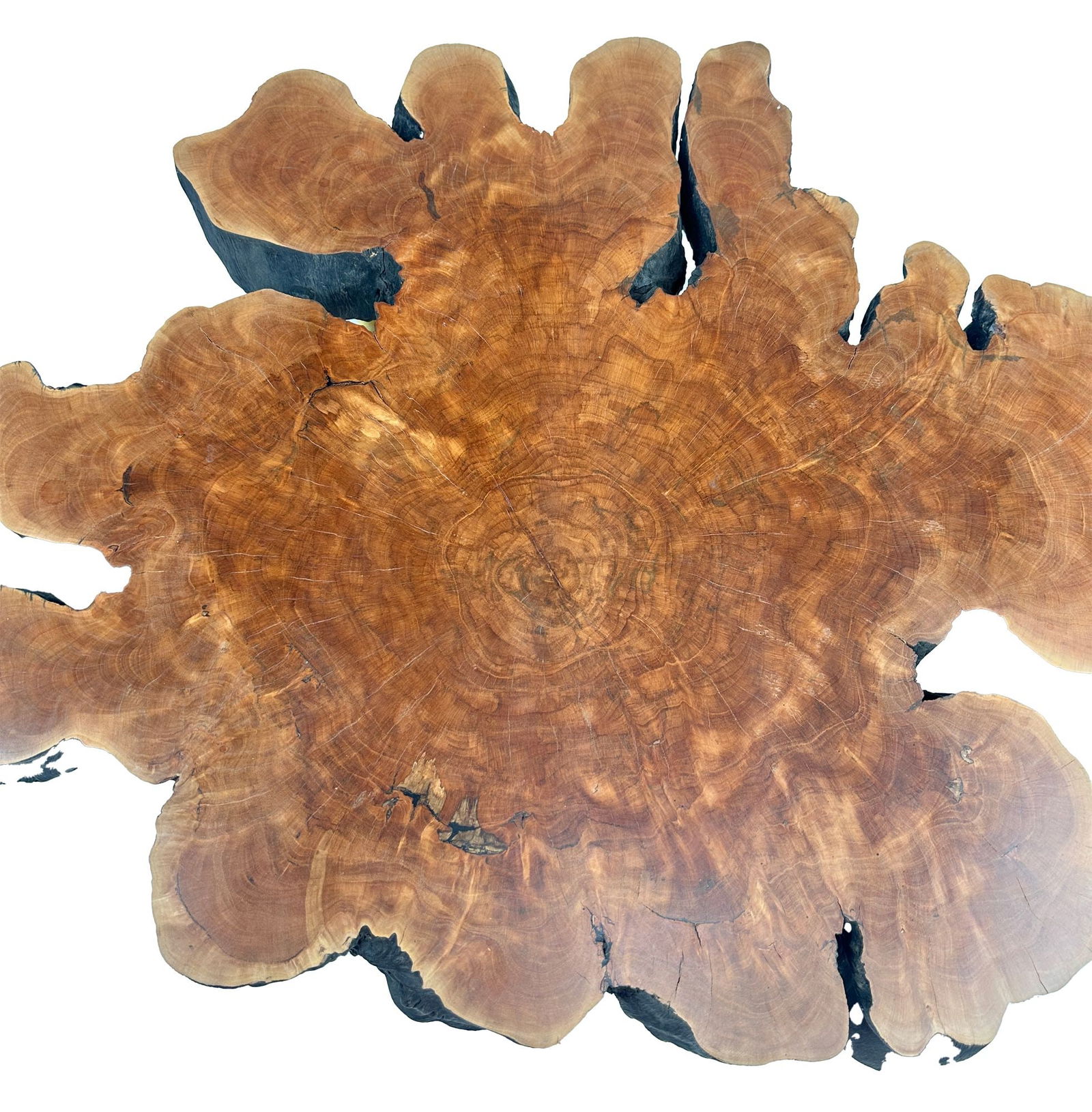Aventura Coffee Table In Solid Walnut - 6