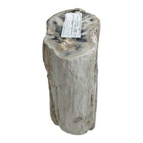 Petrified Wood Stump