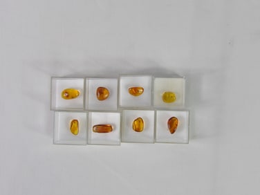 8 pieces of amber