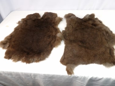 15 Assorted Small Tanned Furs