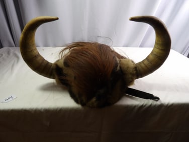 Specialized Motor Cycle Helmet