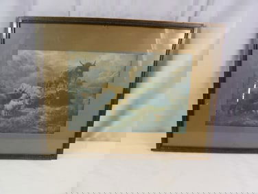 Highland Cattle Color type in Hardwood Frame