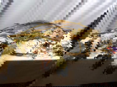 Large Native American Lot