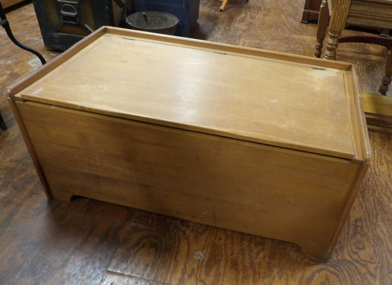 Hard Maple Trunk - 2