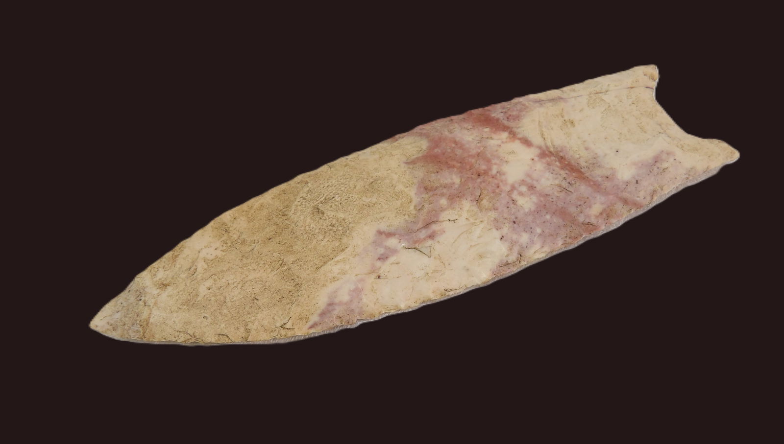 Two Early Spear Points - 3