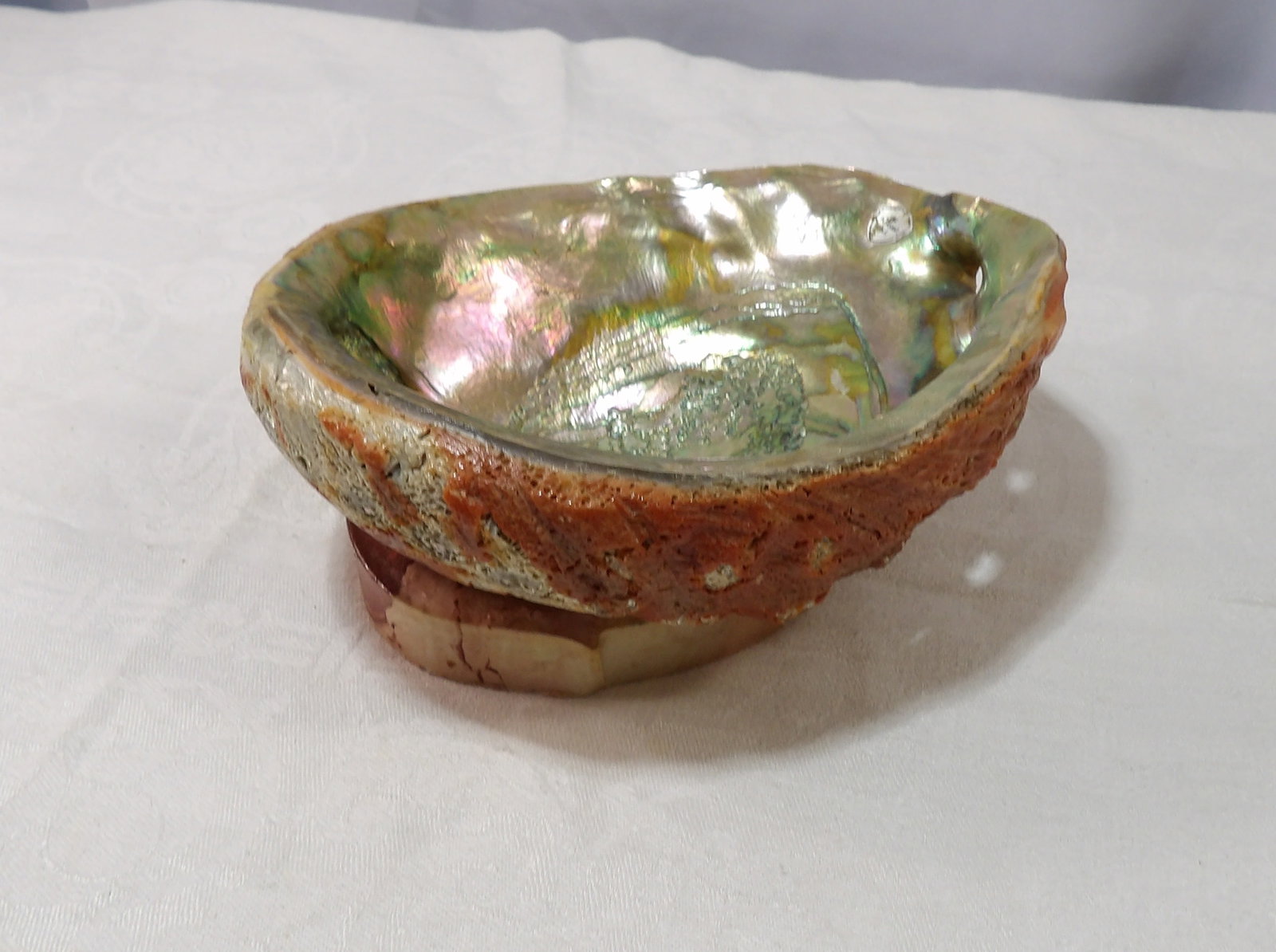 Abalone Shell Dish - 2