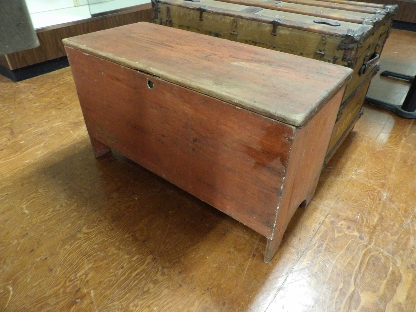 Early Pine Trunk (1 of 4)