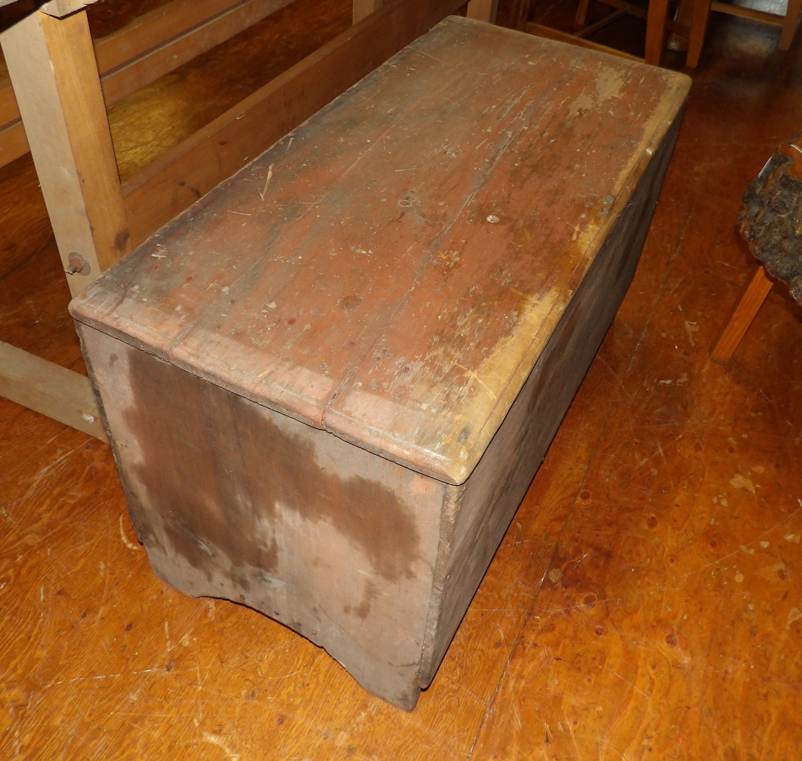 Early Pine Trunk (1 of 4)