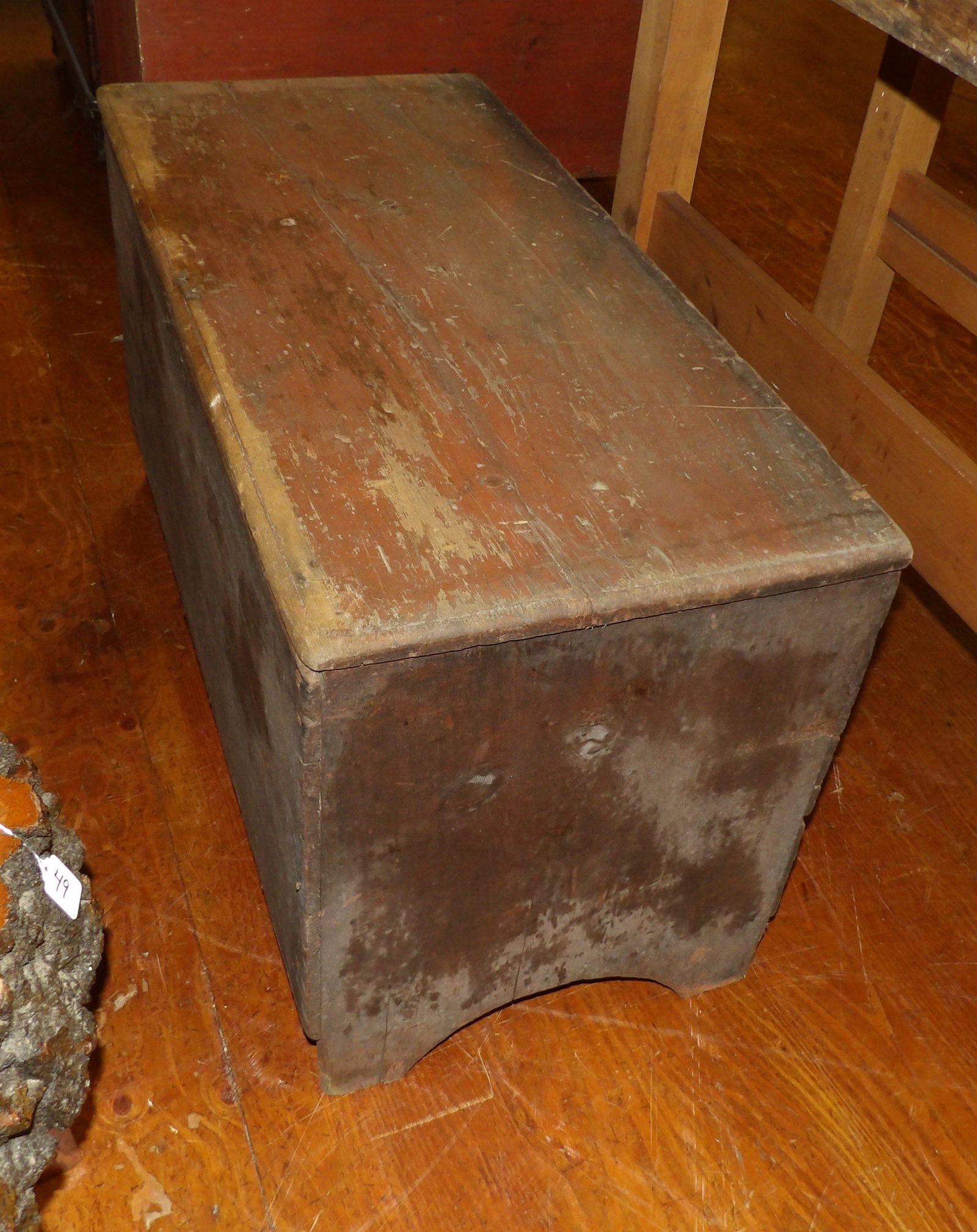 Early Pine Trunk - 3