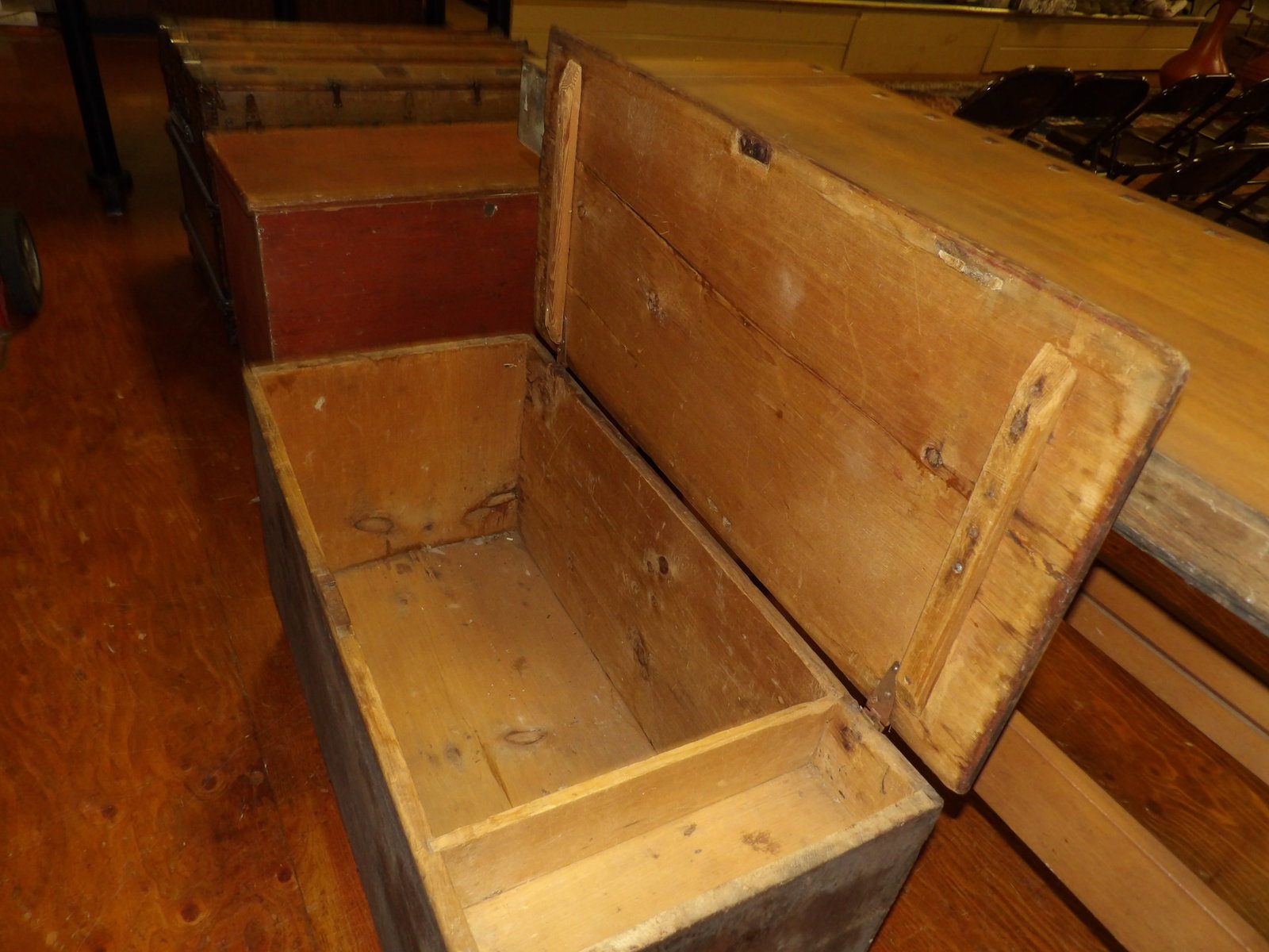 Early Pine Trunk - 4