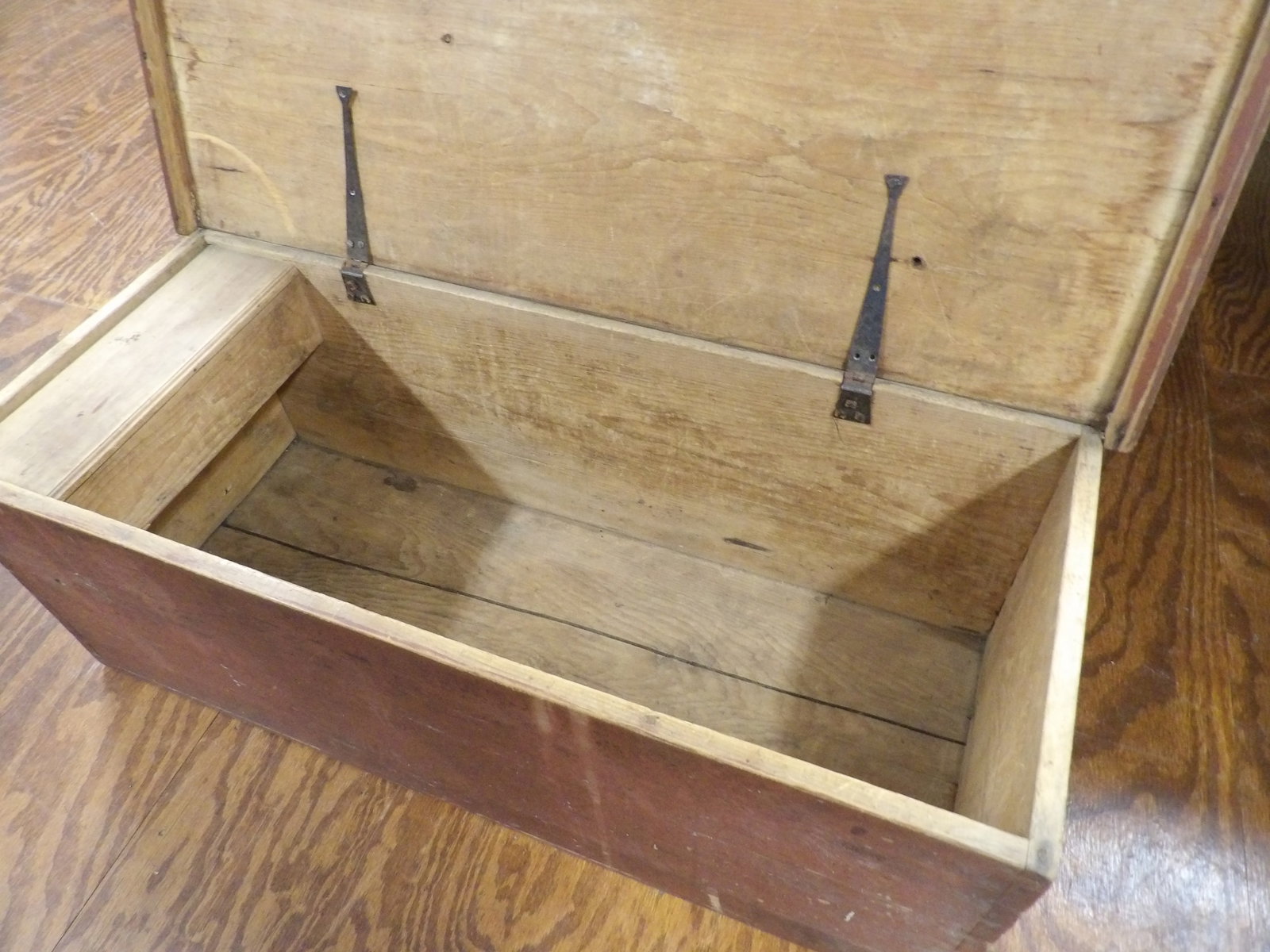 Early Pine Trunk - 2