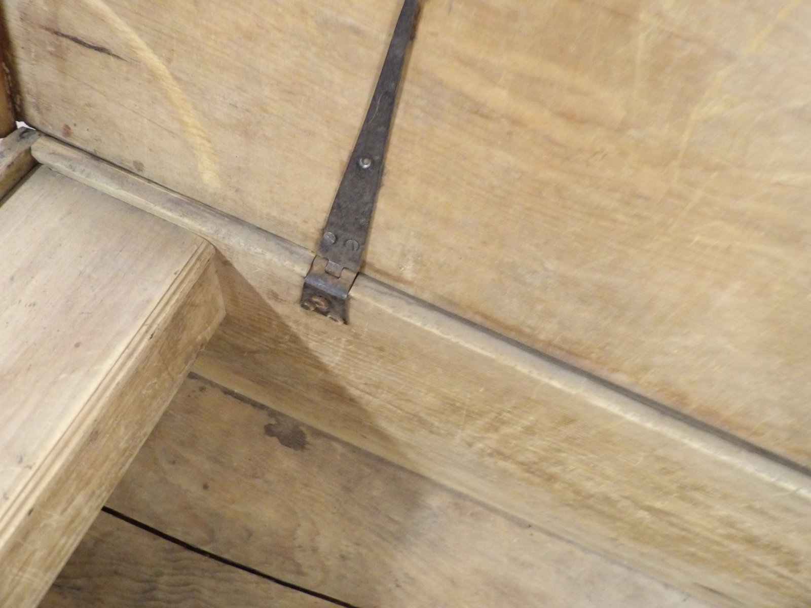 Early Pine Trunk - 3