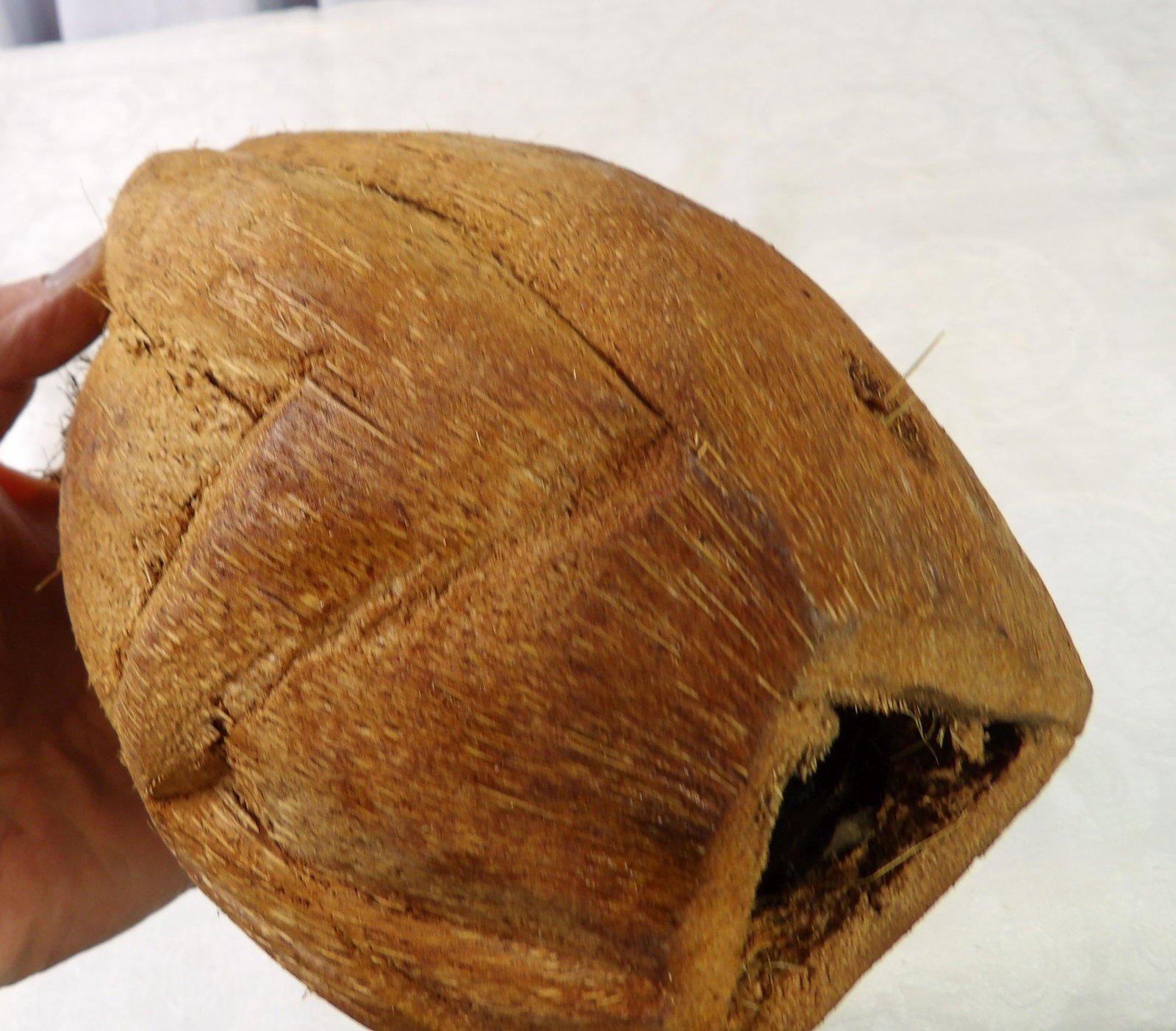 Coconut Monkey Figure - 4