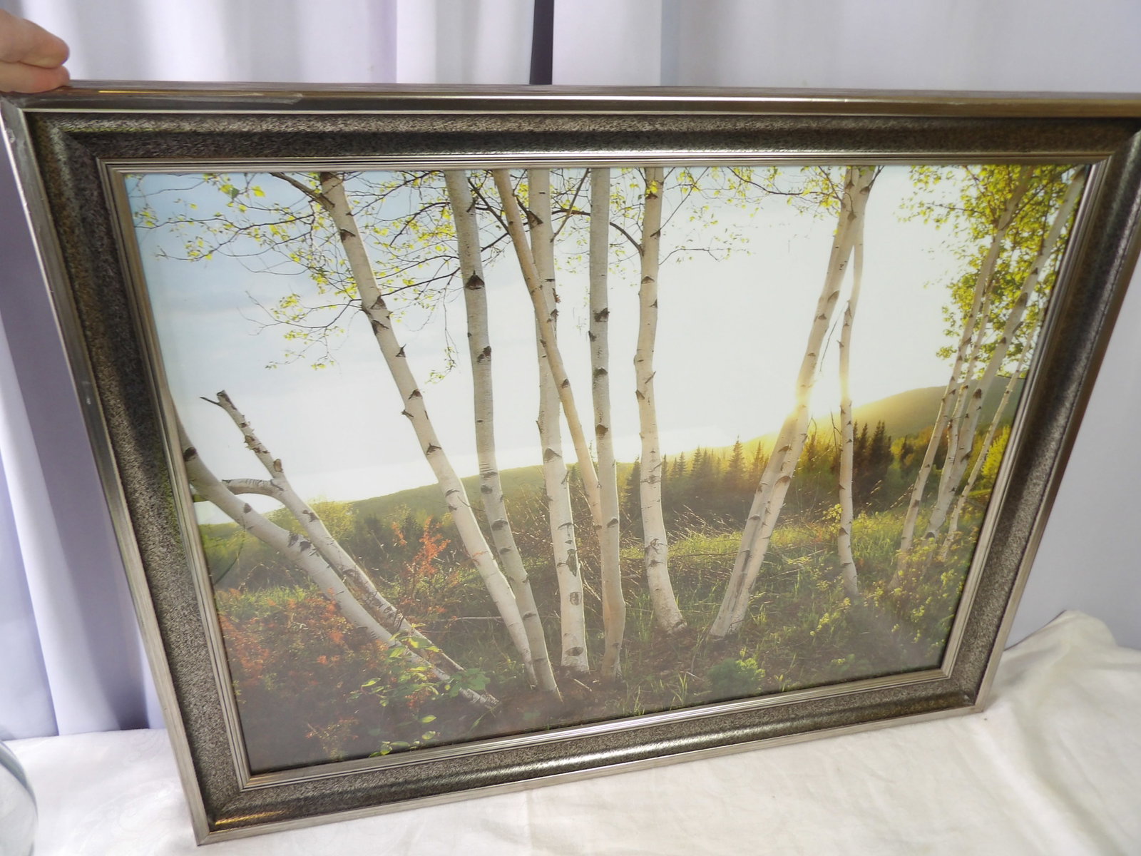 Framed Print of White Birches: Framed Print of White Birches, 21" X 27". By Richardson Frog Pond Studio. All measurements approximate. Please see photos for condition and details. Selling as is from 04281.