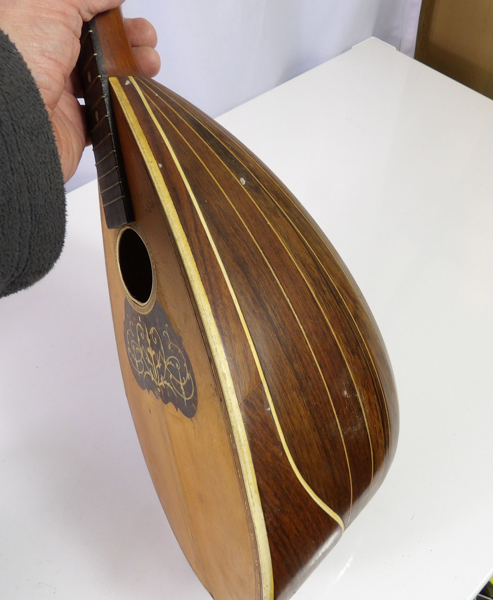 Vintage Bowlback Mandolin - 4