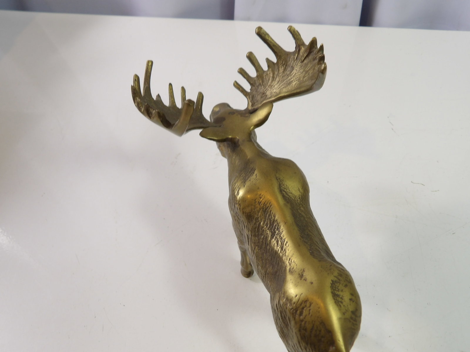 Brass Moose - 4