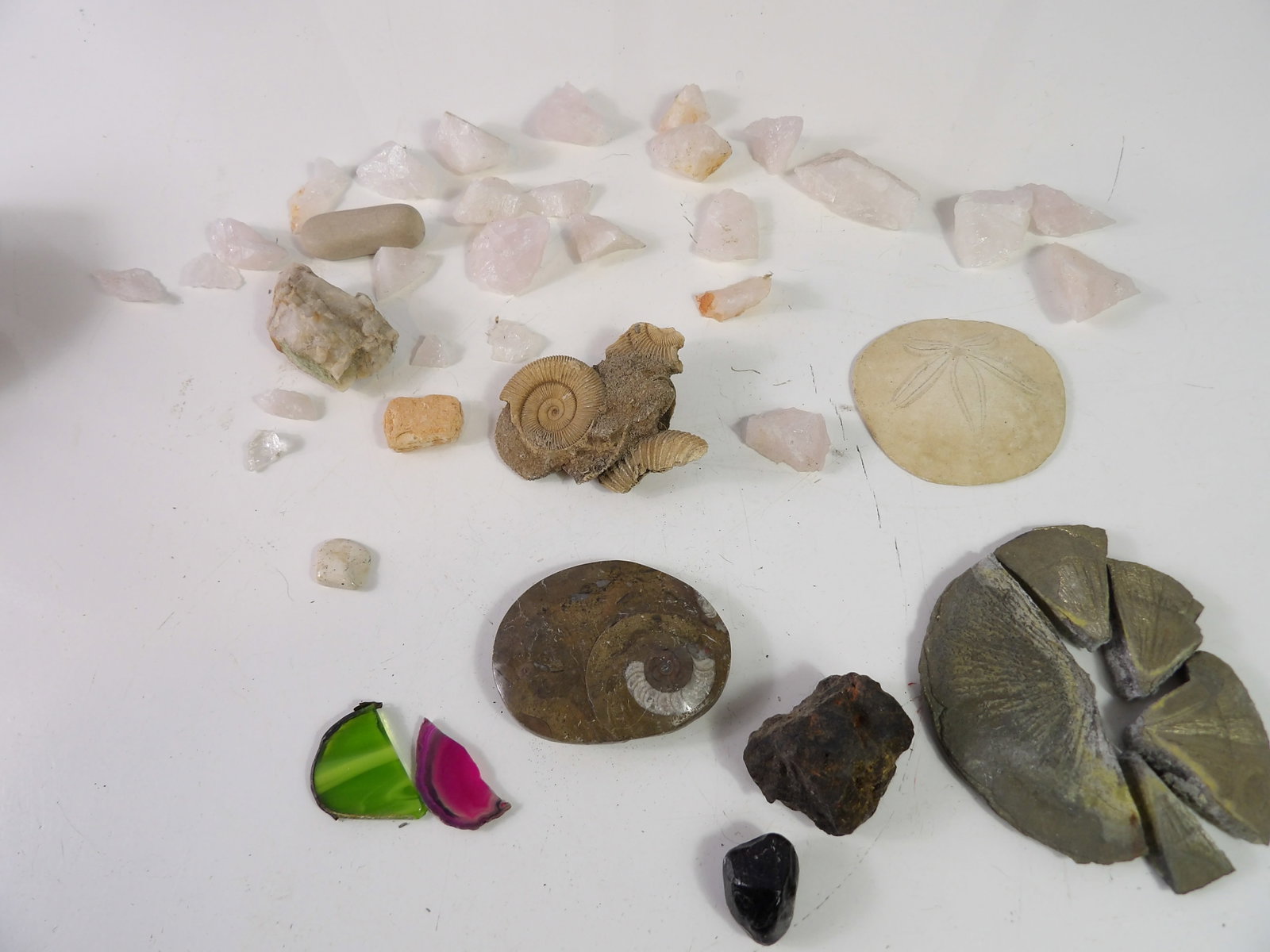 Collection of Crystals, Stones & Fossils (1 of 4)