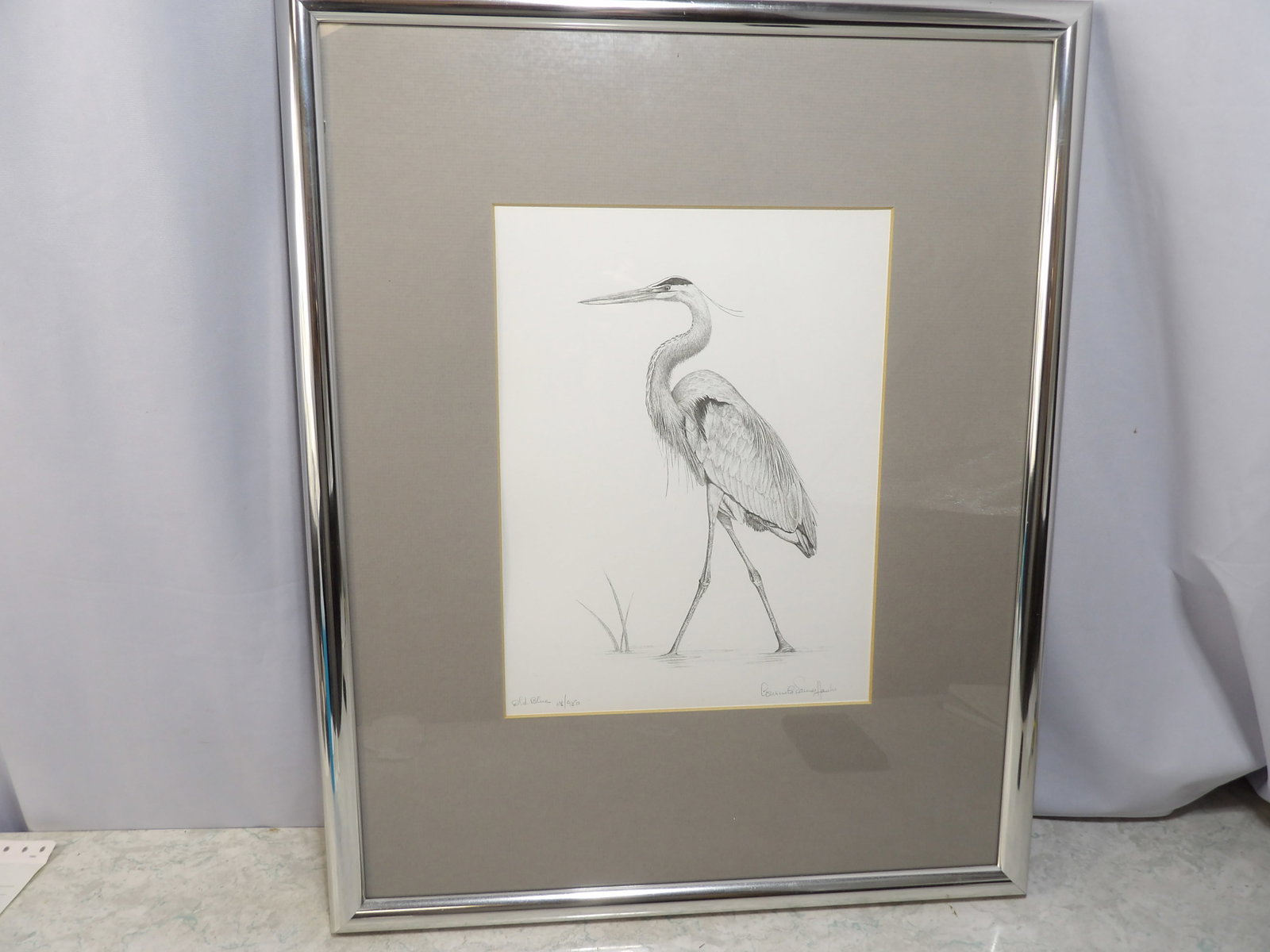 Signed Limited Edition Pencil Drawing Great Blue Heron by Consuelo James Hanks (1 of 4)