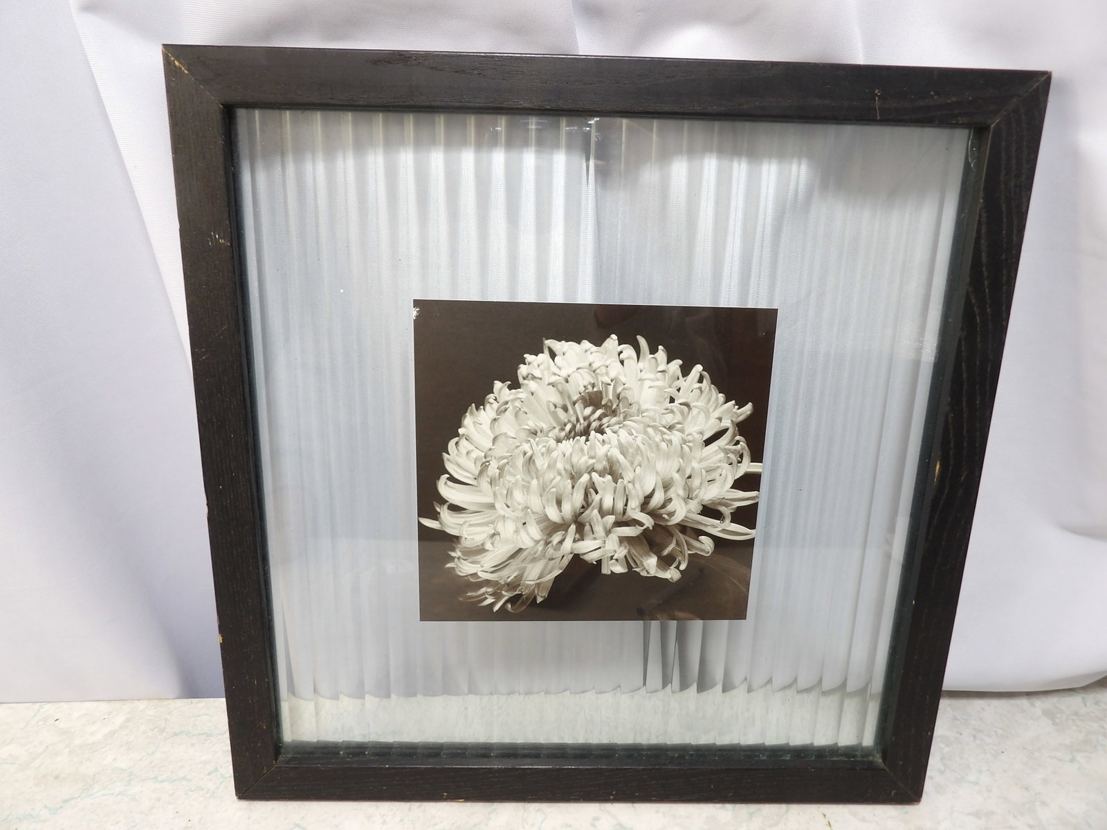 Black and White Floral Art Encased in Glass: Black and White Chrysanthemum Floral Art Encased in Glass. 13" X 13". Along with LiveShip (handled by LiveAuctioneers), we also can have a local shipper package and ship your purchases. Just choose bu