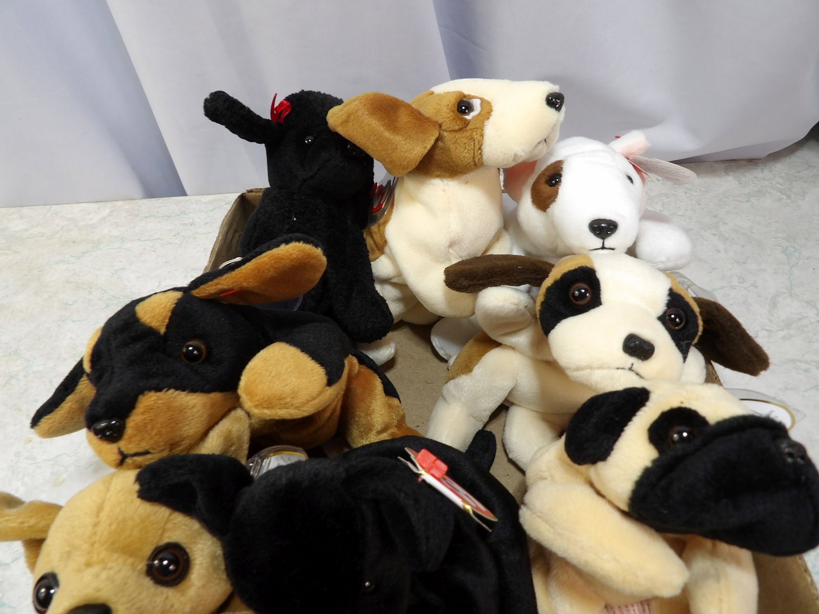 Collection of Beanie Baby Puppies: Collection of Vintage Beanie Baby Puppies. Along with LiveShip (handled by LiveAuctioneers), we also can have a local shipper package and ship your purchases. Just choose buyer arranges shipping on