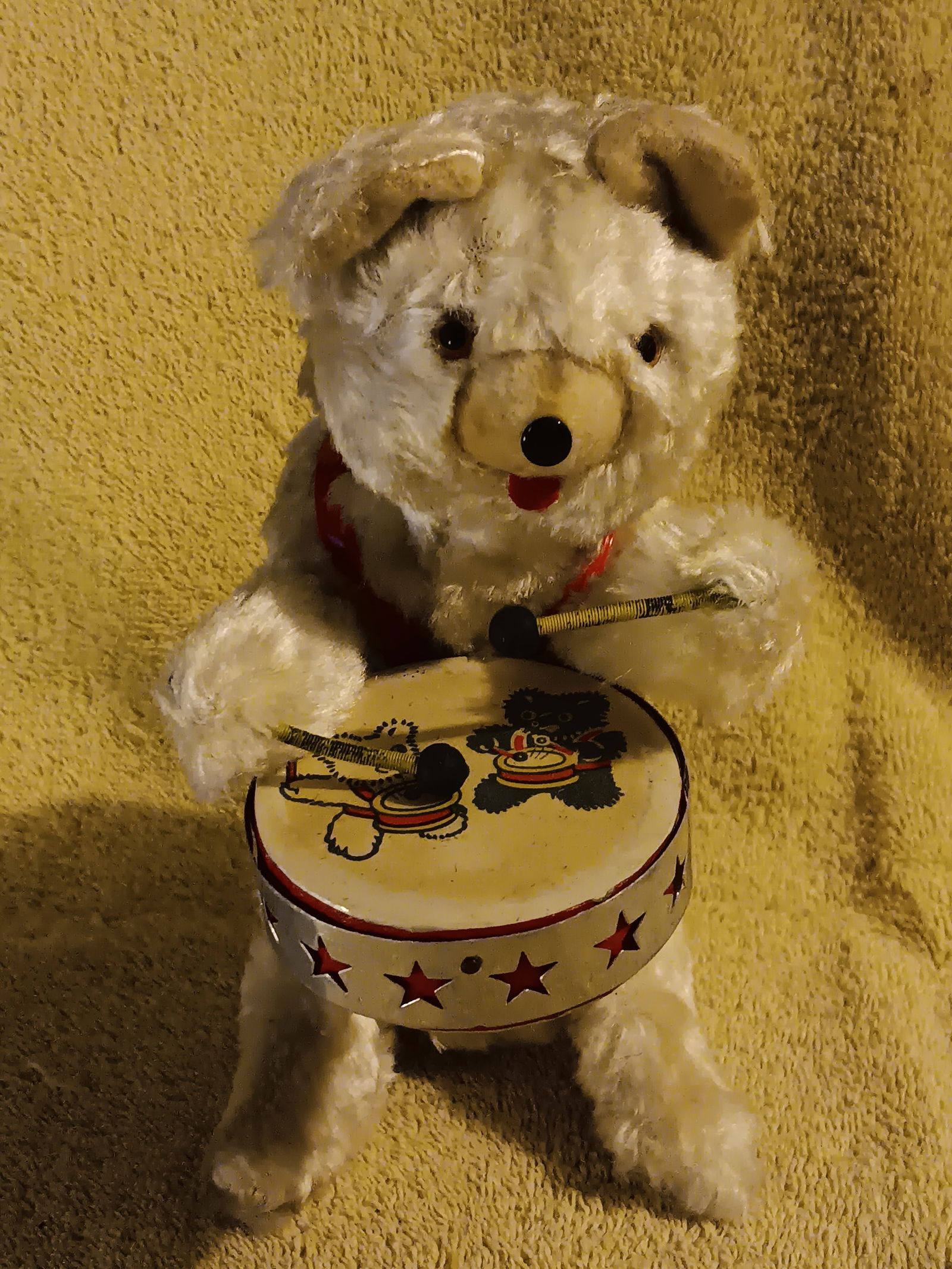 Old Windup White Polar Bear Playing Drums Working Condition 8" Tall 1950s "I Do In-House Shipping": Up for auction is a old vintage windup white Polar bear 8" tall by 3 3/4" wide by 5 3/4" wide in working condition. When you windup the Bear he starts to play the drums, and he is moving up and down,