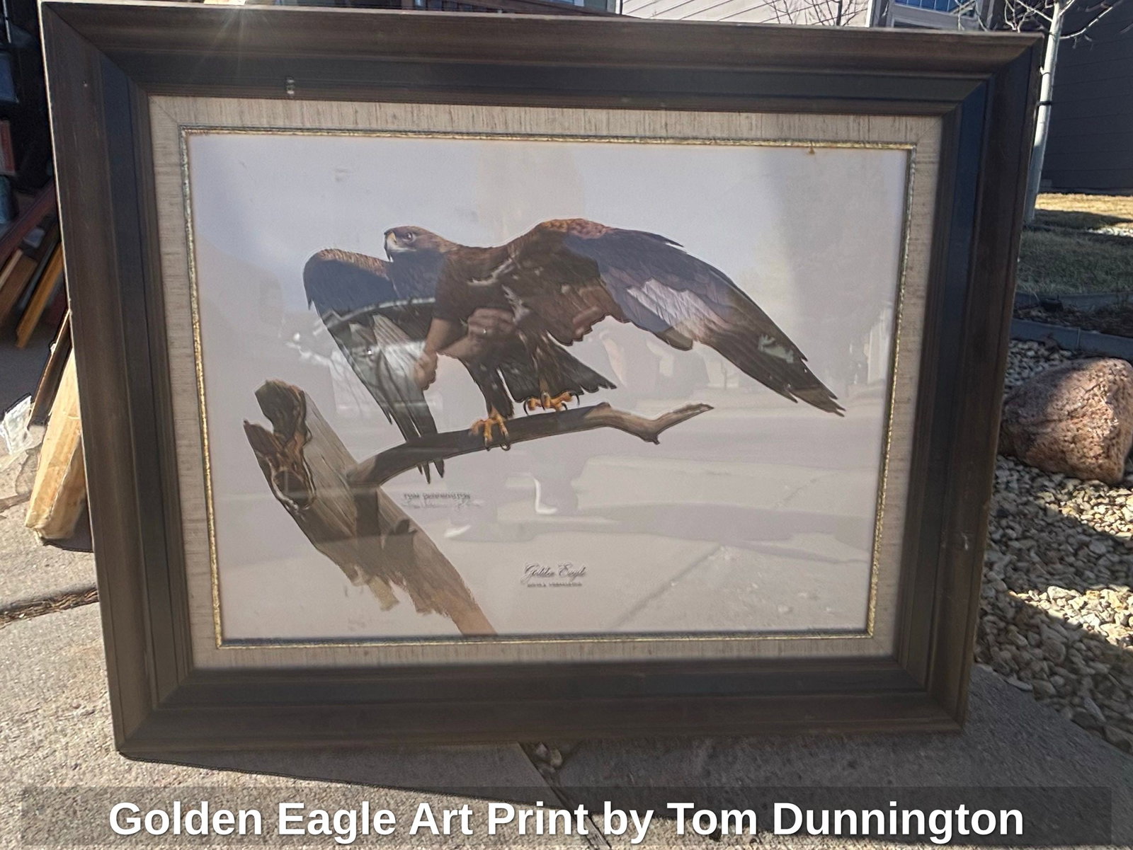 Golden Eagle Art Print by Tom Dunnington (1 of 5)