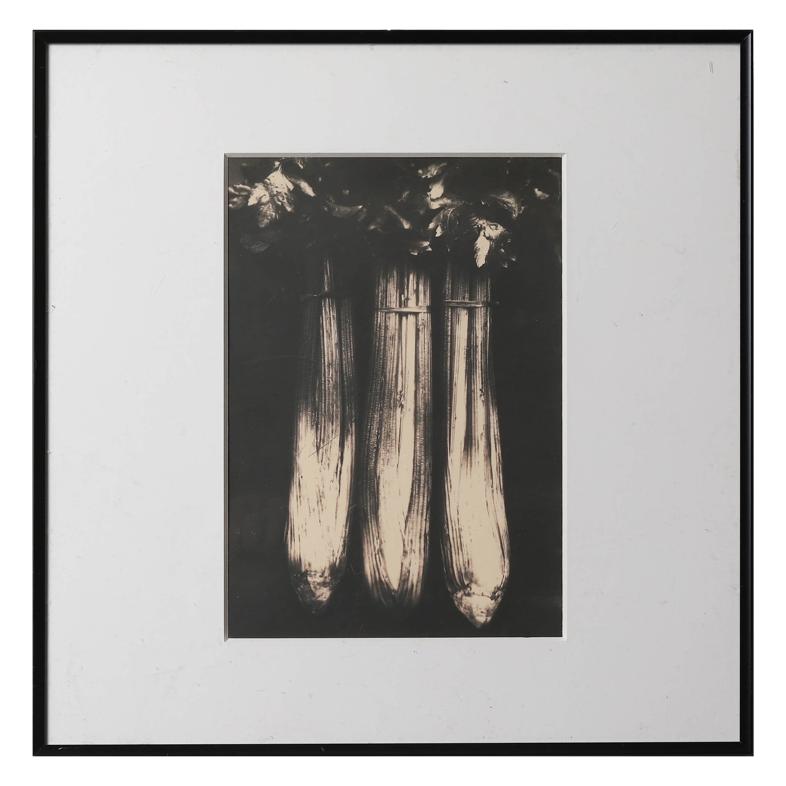 CELERY, BY EDWARD WESTON (1 of 2)