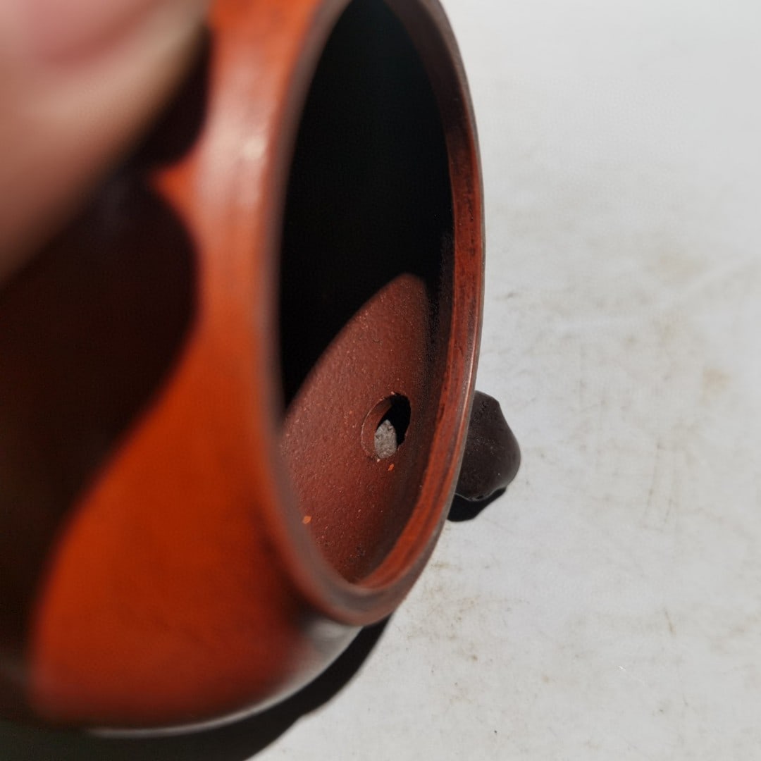 Name: Pine Needle Teapot - 8