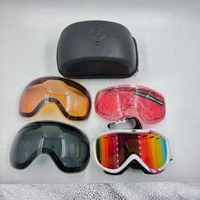 Assorted Ski & Snowboard Goggles with Hard Case