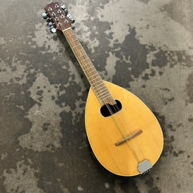 Vintage Bowlback Mandolin, 8-String Acoustic Instrument